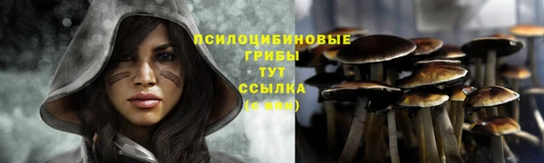 молекула духа Краснослободск