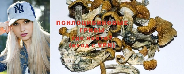 MDMA Premium VHQ Красноперекопск