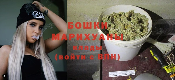 молекула духа Краснослободск