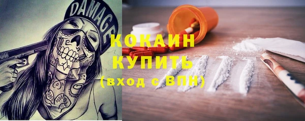 молекула духа Краснослободск