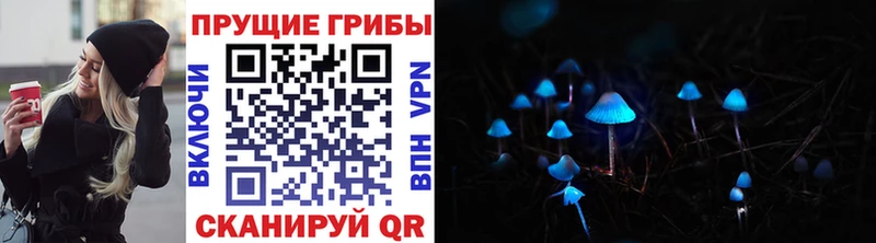 Псилоцибиновые грибы Cubensis  Купить где  Каргополь 